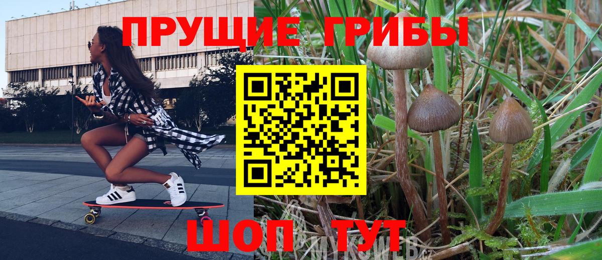 Галлюциногенные грибы Cubensis  Вход с VPN  закладки  Новокуйбышевск 