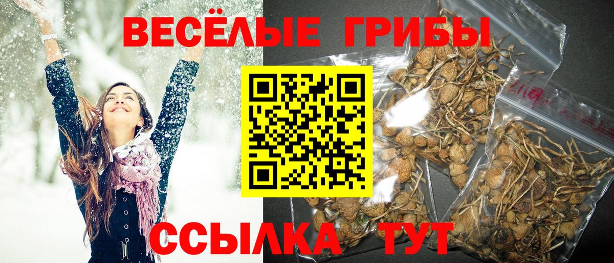 Псилоцибиновые грибы Magic Shrooms Новокуйбышевск